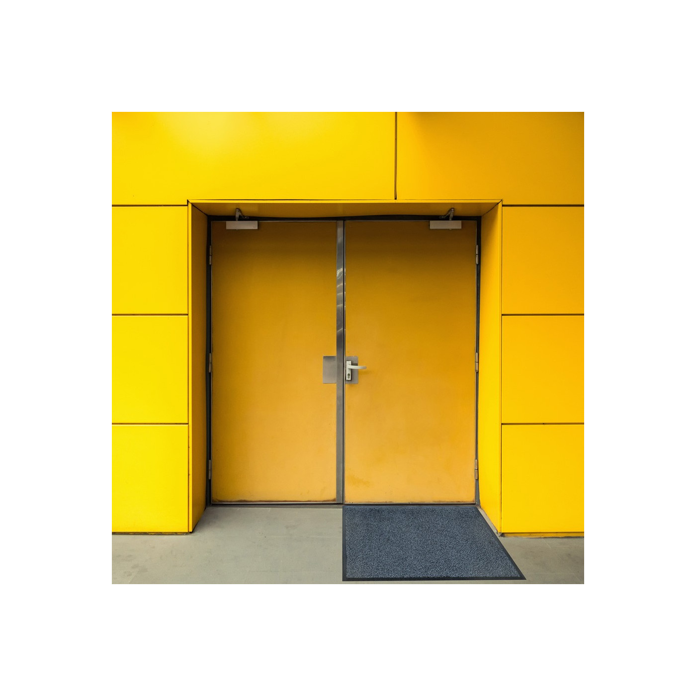 Desinfektionsmatte 85 x 150 cm - Techem Laden