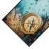 Hanse Teppichwischer 50 x 75 cm - BP Techem Online Shop