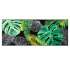 Dschungelpflaster auf Gummi - BP Techem online shop