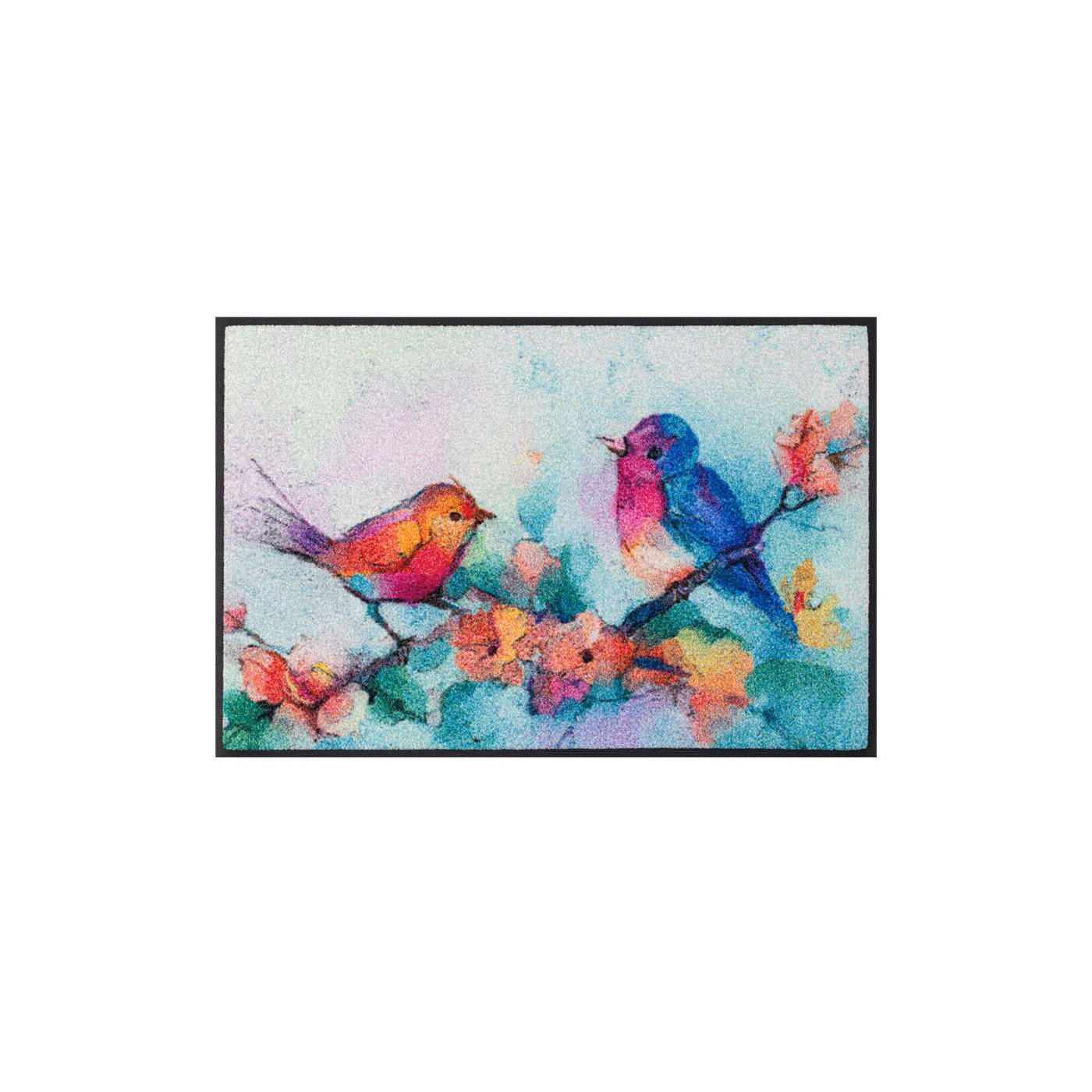 Federwischer 50 x 75 cm - BP Techem Online Shop
