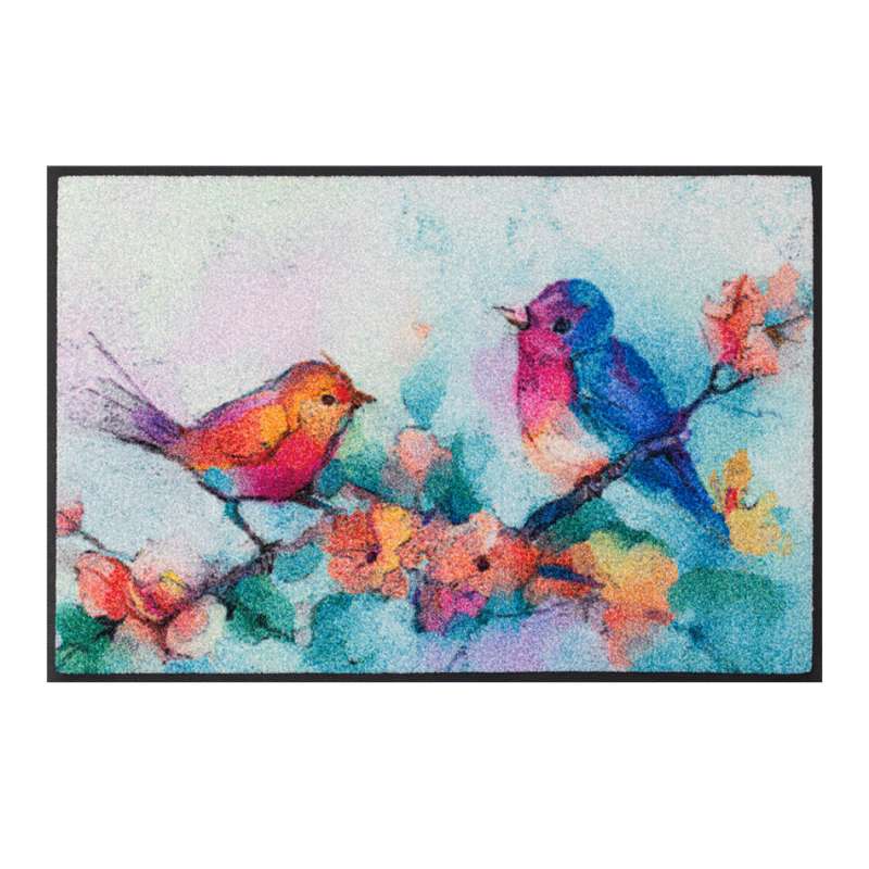 Federwischer 50 x 75 cm - BP Techem Online Shop