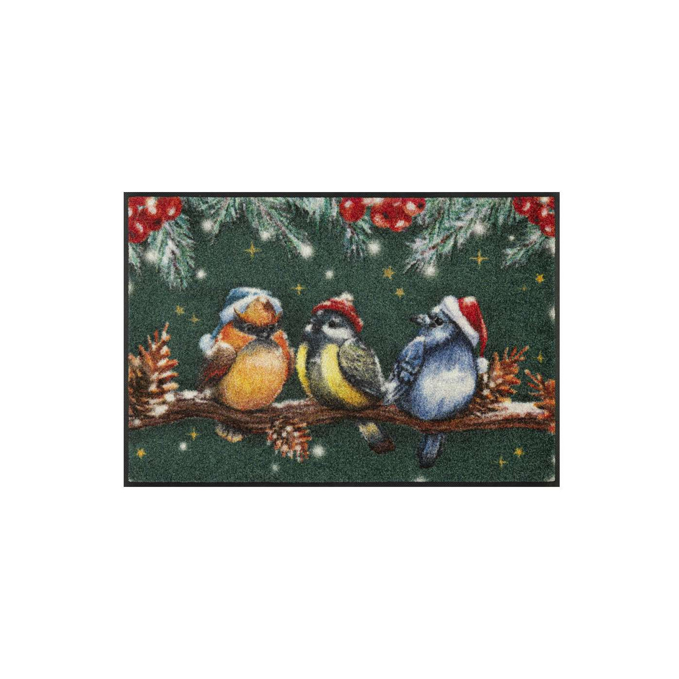 Wintervögel Weihnachten Fußmatte 50 x 75 - BP Techem Online-Shop