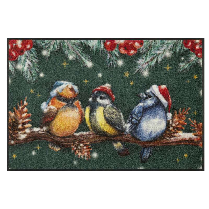 Wintervögel Weihnachten Fußmatte 50 x 75 - BP Techem Online-Shop