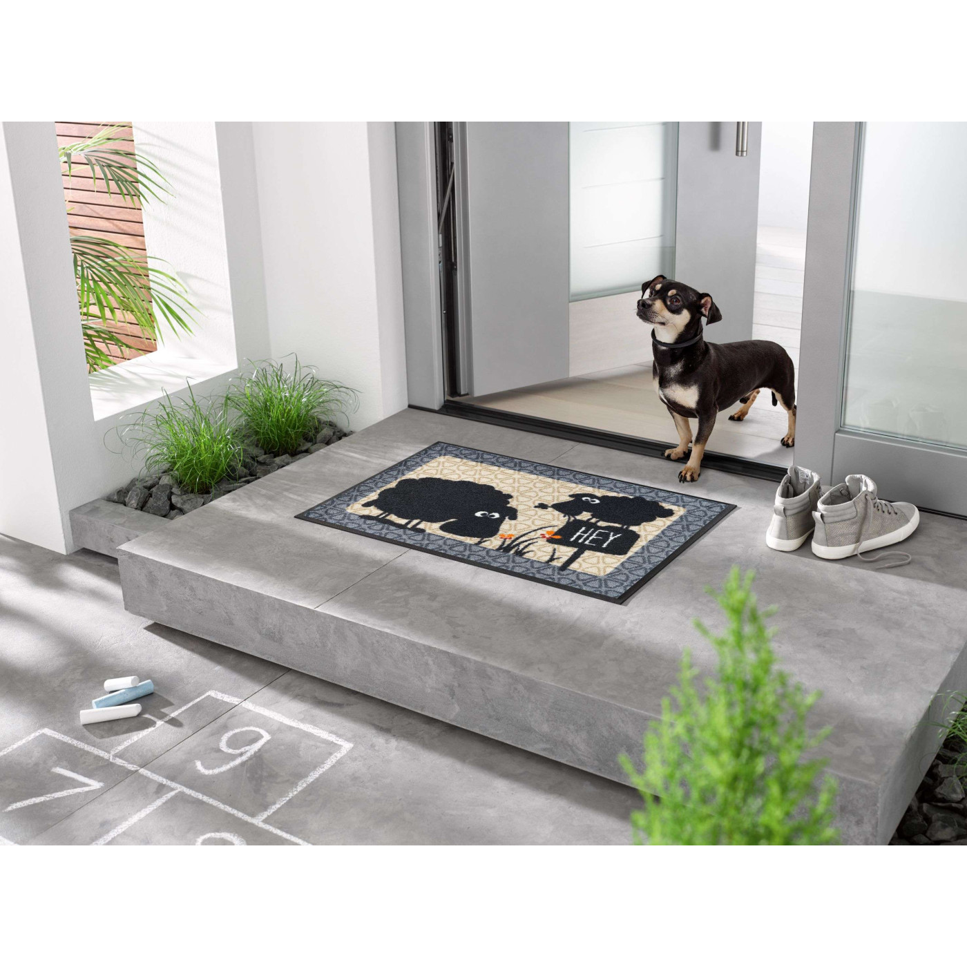 Wischer Hey Sheep! 50 x 75 cm - BP Techem Online Shop
